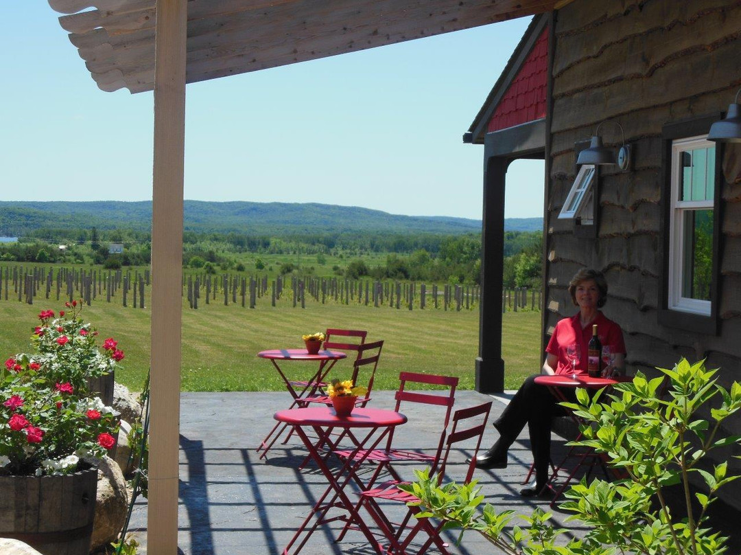 Crooked Vine Vineyard & Winery-Alanson必去景点