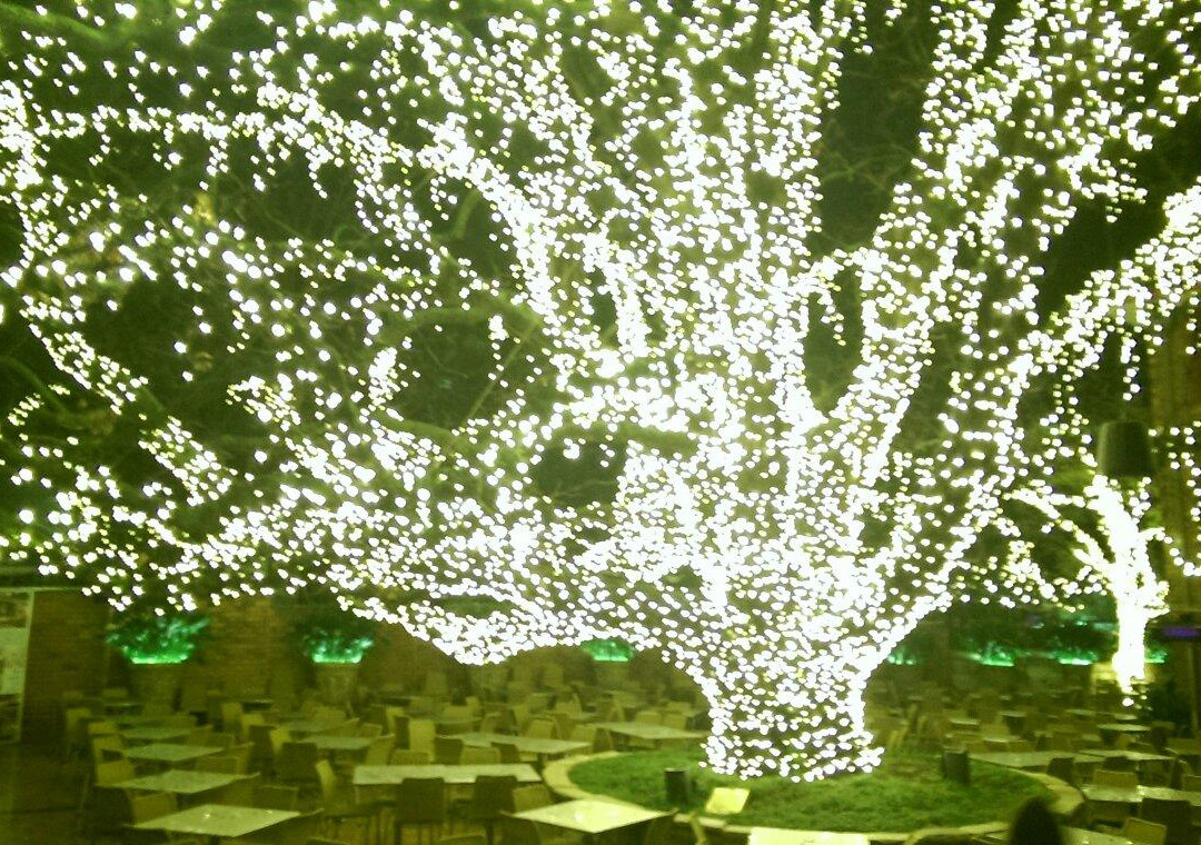 The Oaks Hotel景点图片