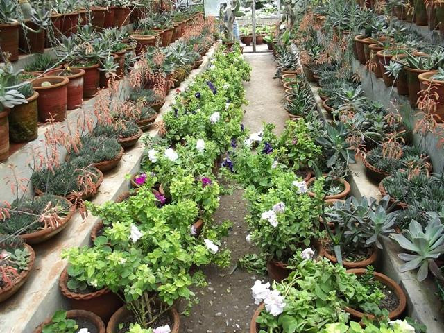 Municipal Garden景点图片