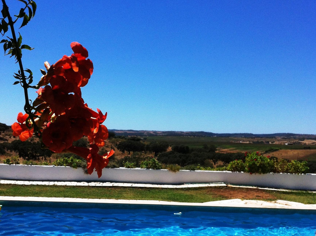 Herdade dom Pedro