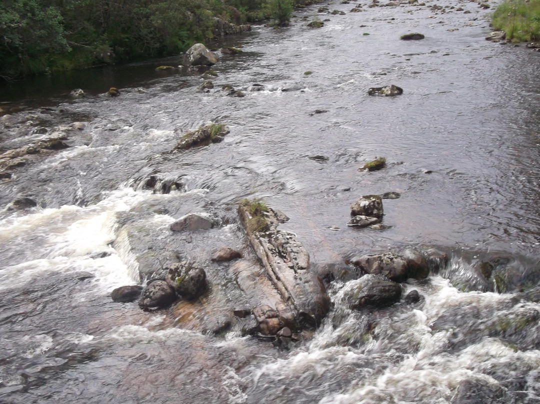 Glen Affric National Nature Reserve景点图片