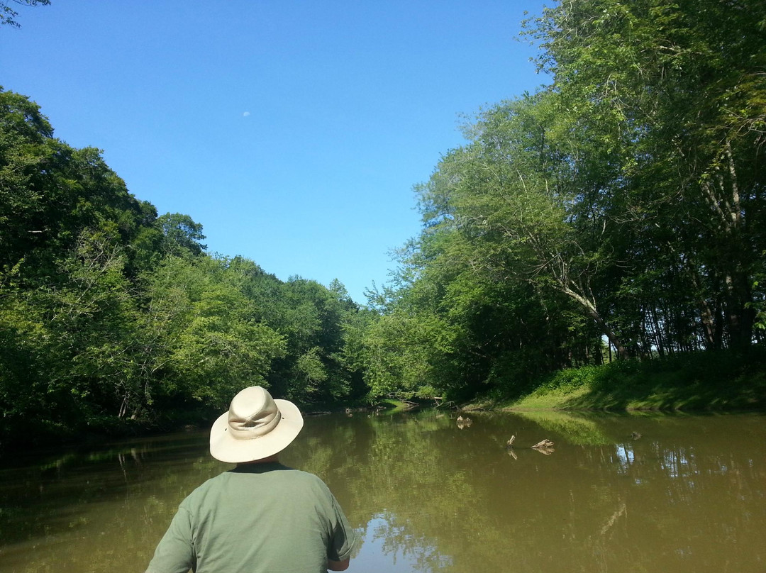 Most High Adventure Outfitters-布卢明顿必去景点