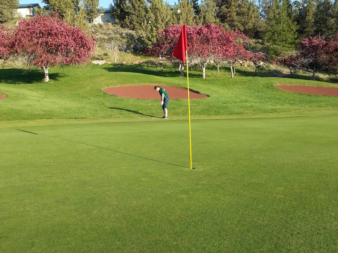 Lake Shastina Golf Resort - Championship Course景点图片