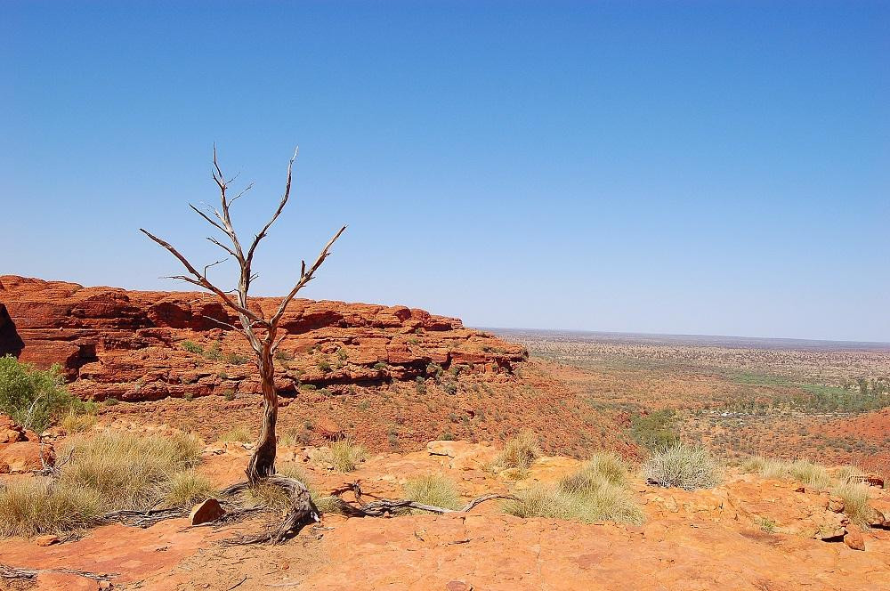 Kings Canyon景点图片