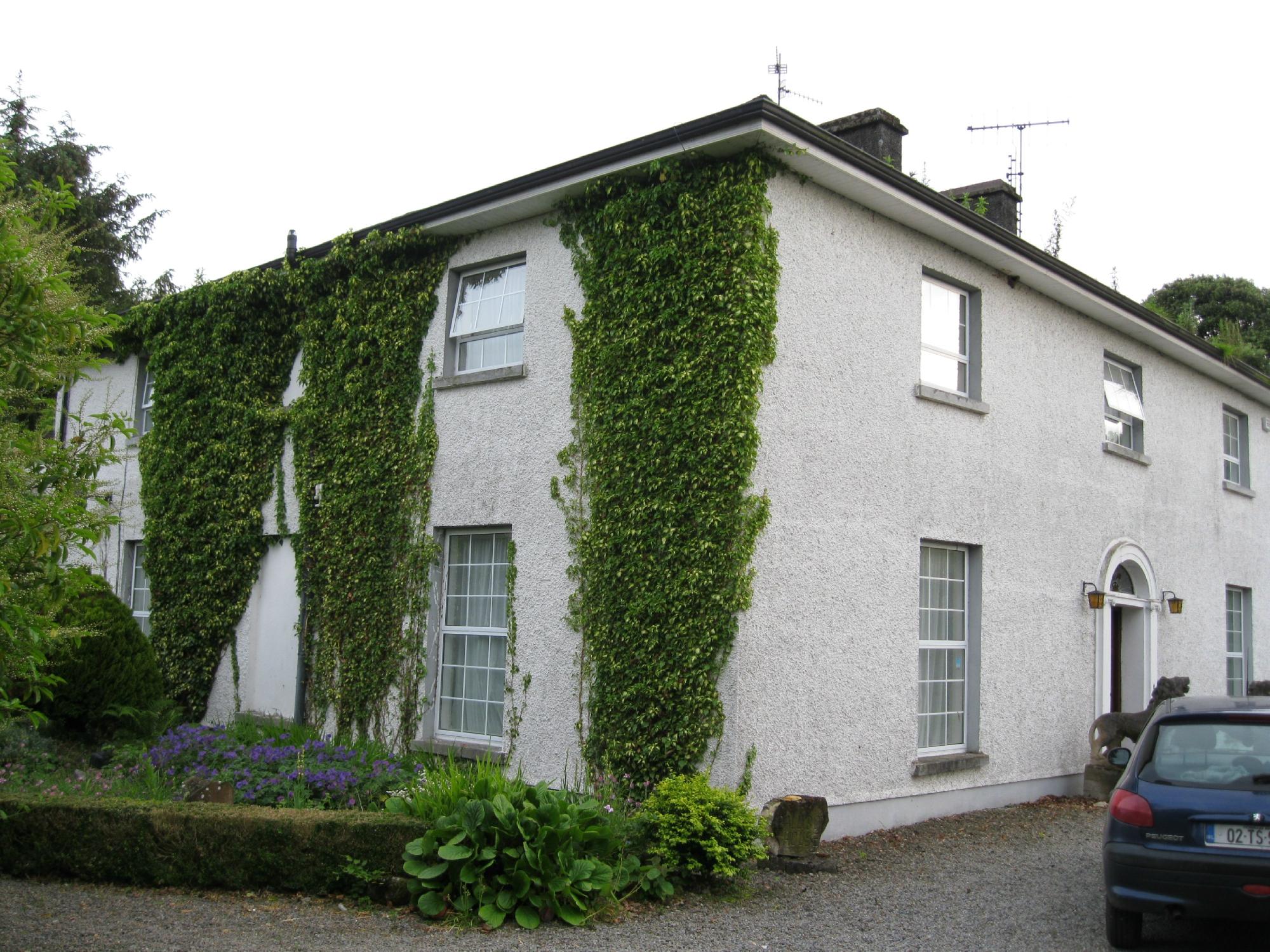 Ballyboy House-客卧