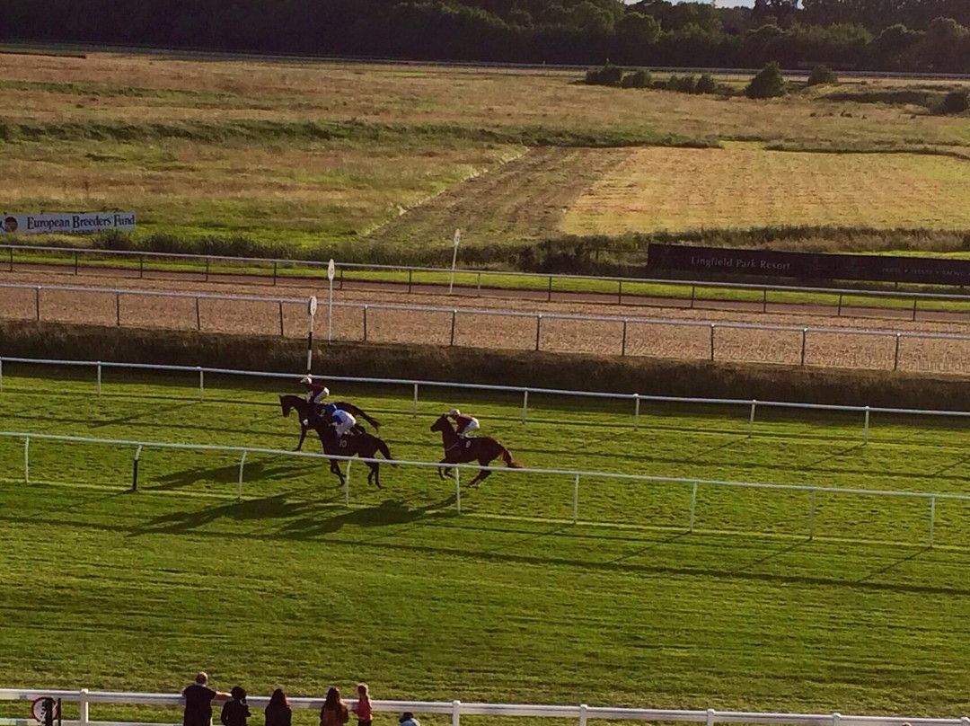 Lingfield Park Resort景点图片