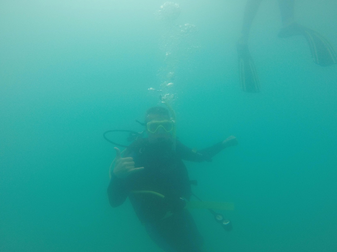 Texan Scuba Inc-Huntsville必去景点