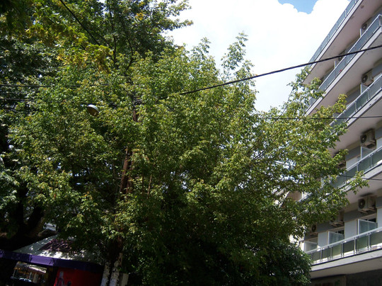 Hotel Elena Edessa主图