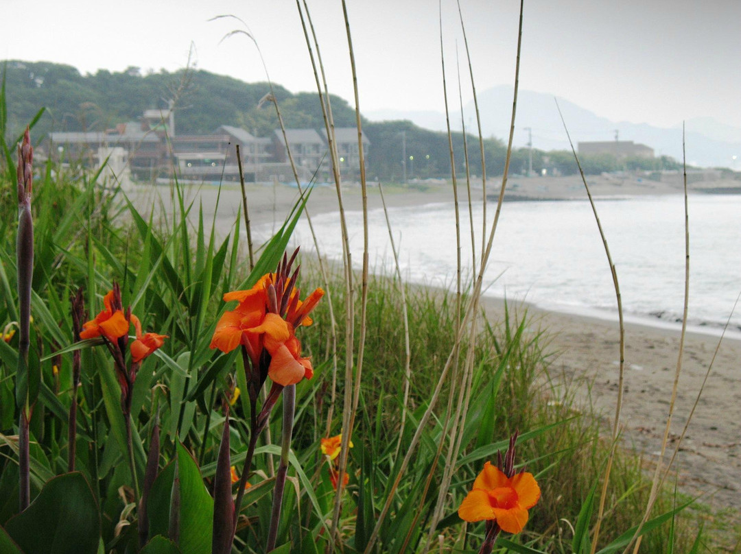 Hota Chuo Beach-锯南町必去景点
