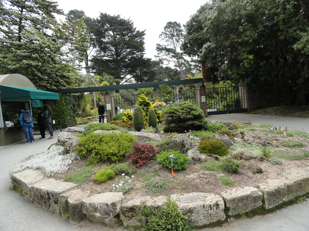 斯翠宾植物园旧金山植物园-旧金山必去景点