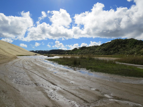 Sand Safaris Cape Reinga 90 Mile Beach Tours-凯塔亚必去景点