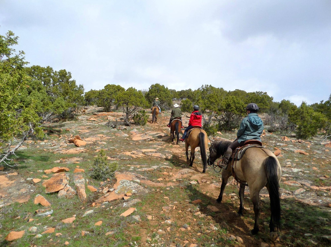 KB Horses-希伯城必去景点