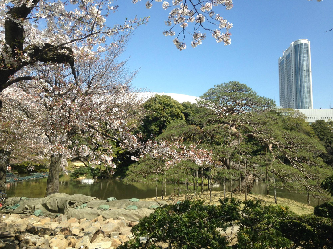 小石川后乐园景点图片