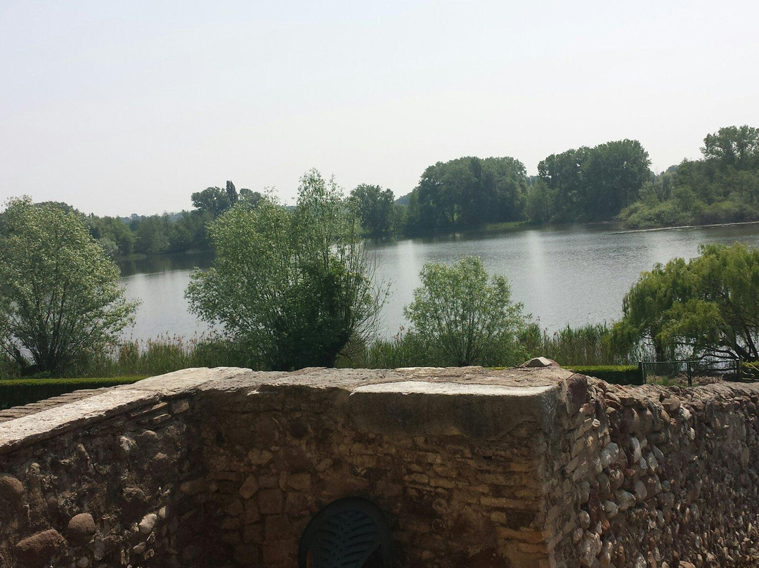 Villa Arrighi-Castellaro Lagusello必去景点