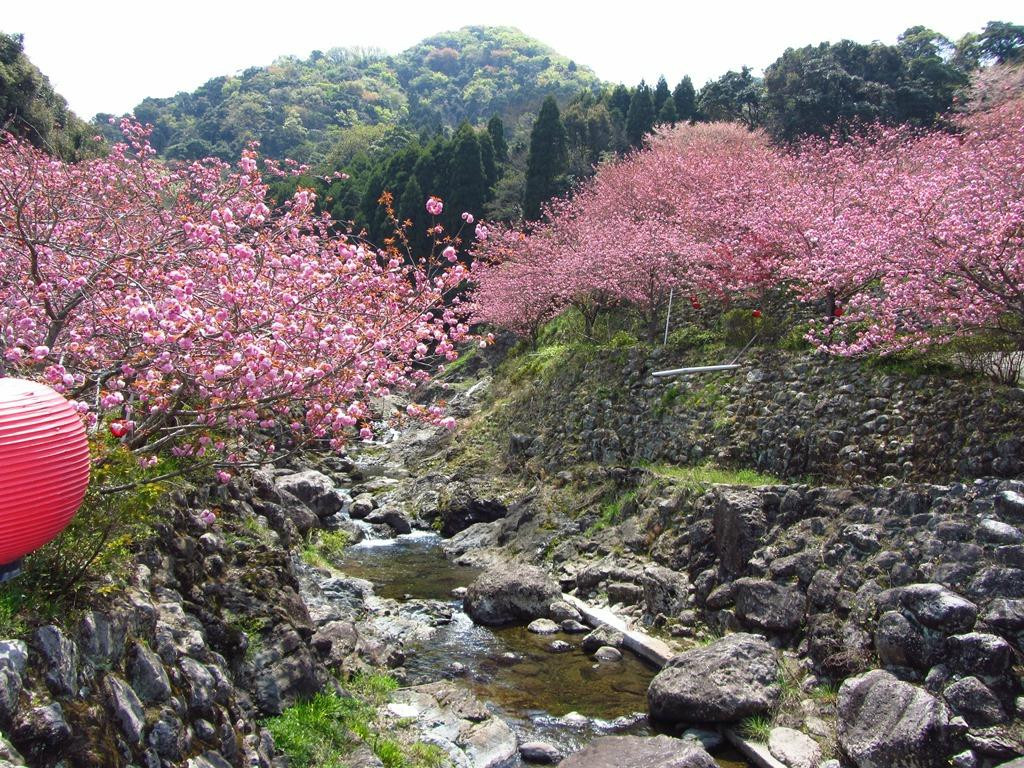 Isshinji Temple-大分市必去景点