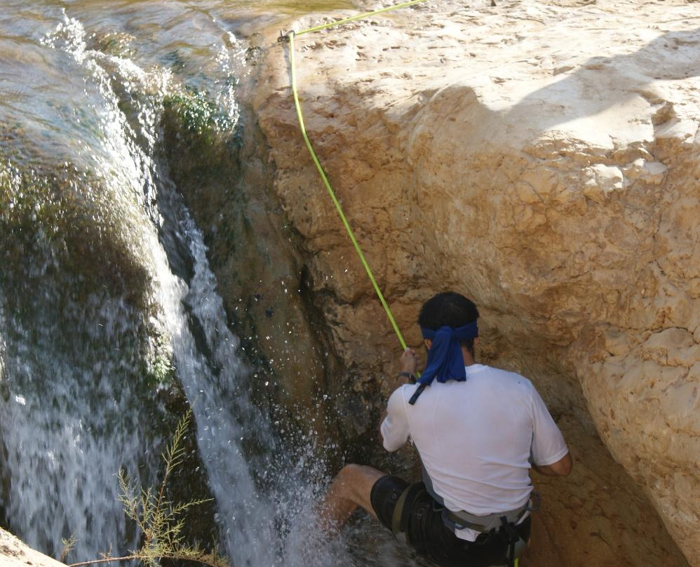 Tropical Desert-安曼必去景点