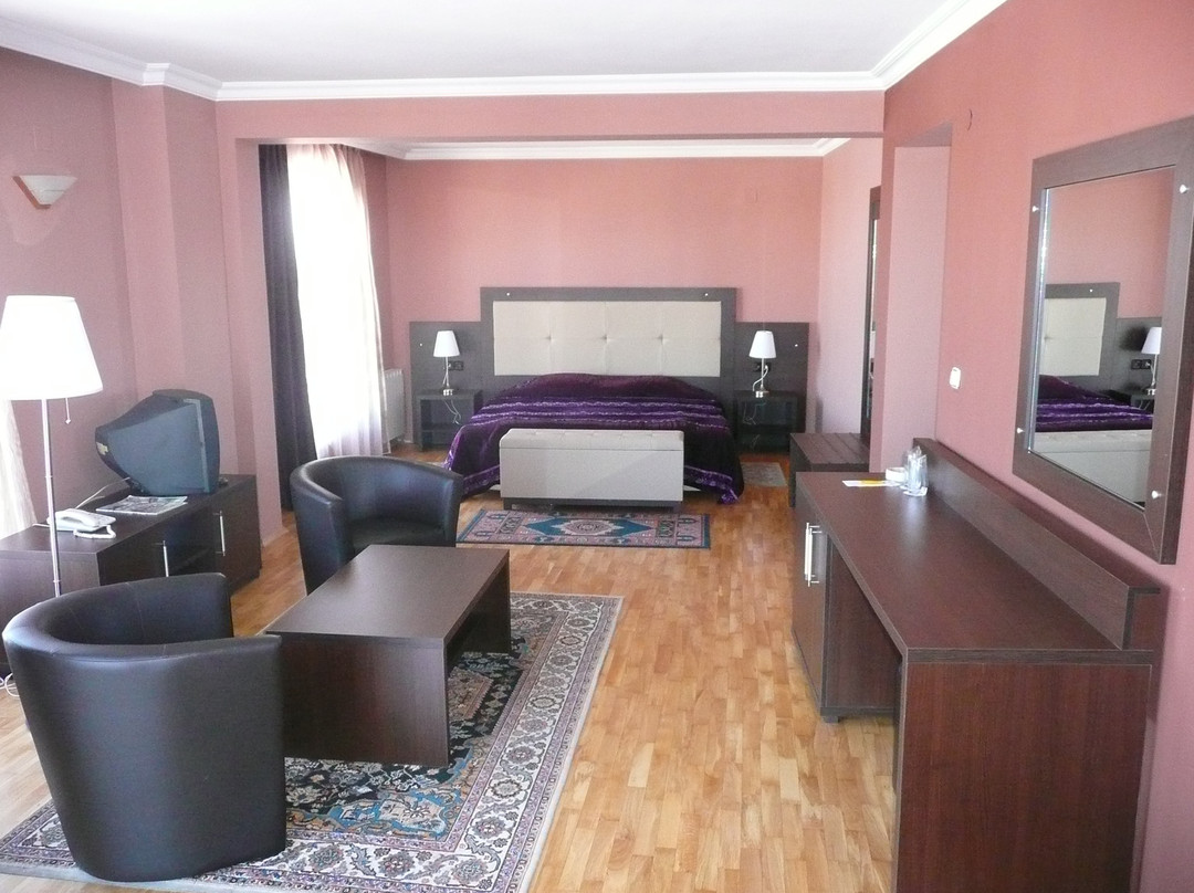 Airport Hotel Consul主图