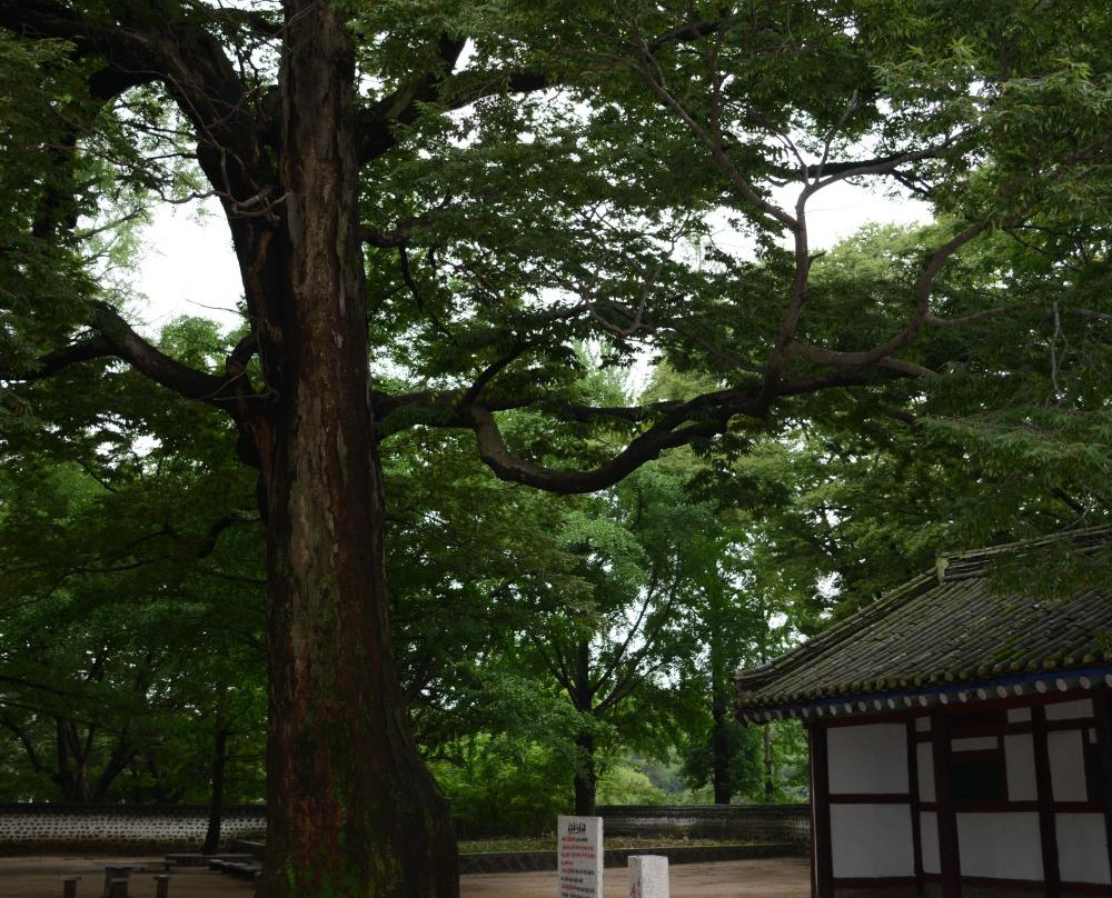 Sungkyunkwan University-Kaesong必去景点