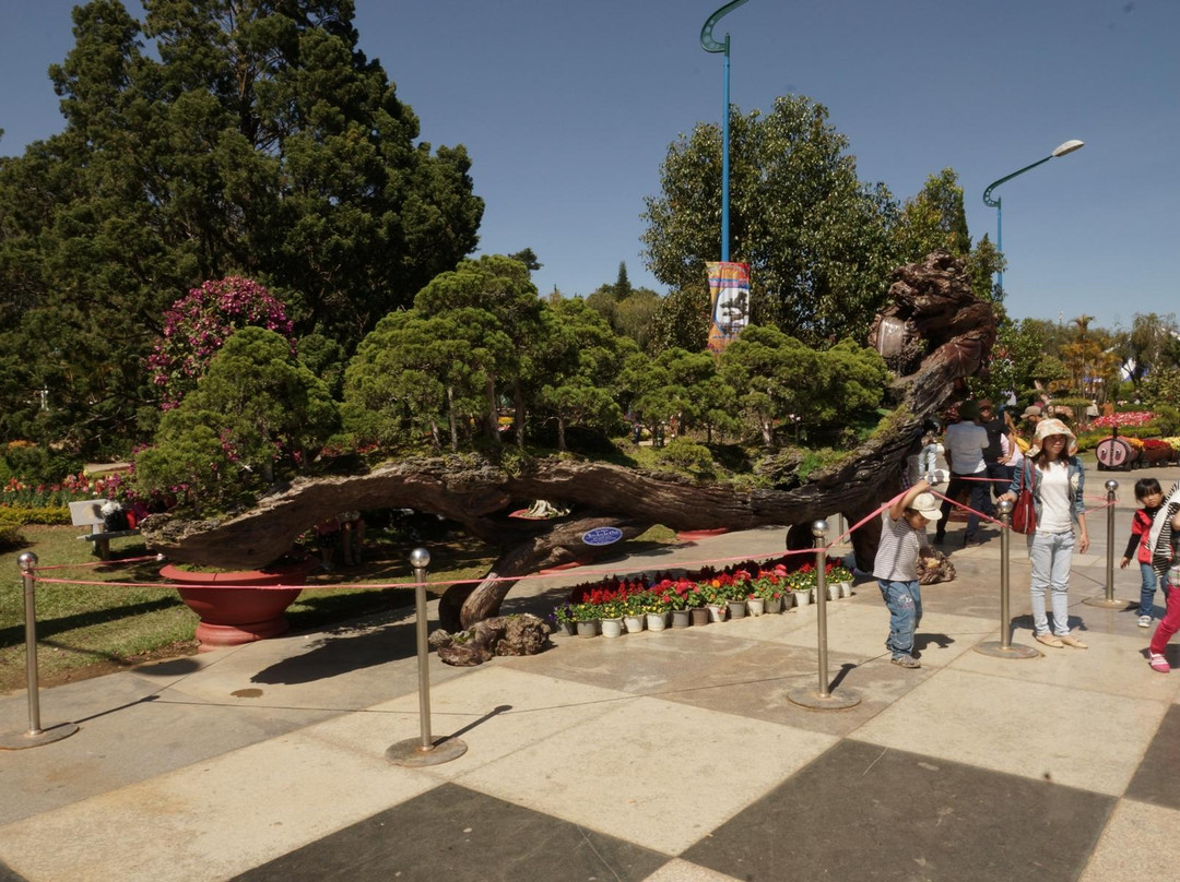 大叻花园-大勒必去景点