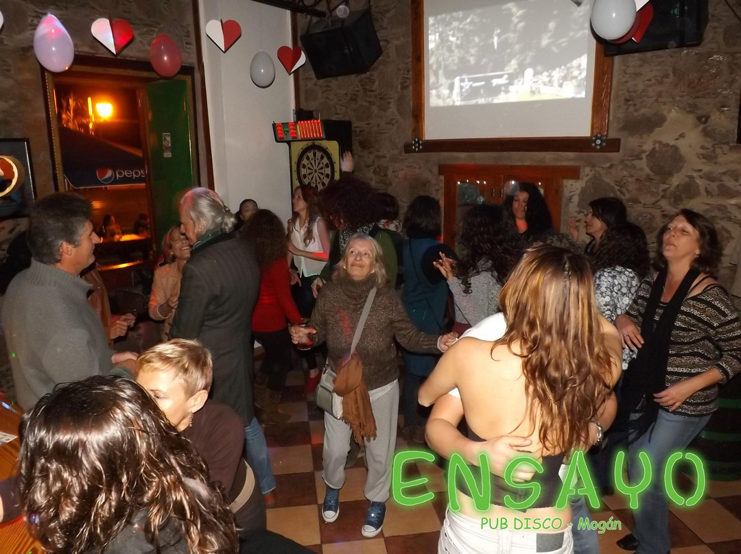 Bar Ensayo Pub Disco-莫干山必去景点