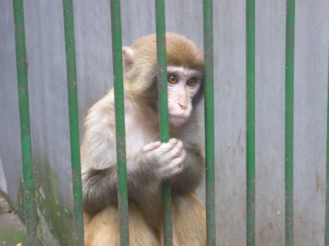 衡阳动物园-衡阳市必去景点