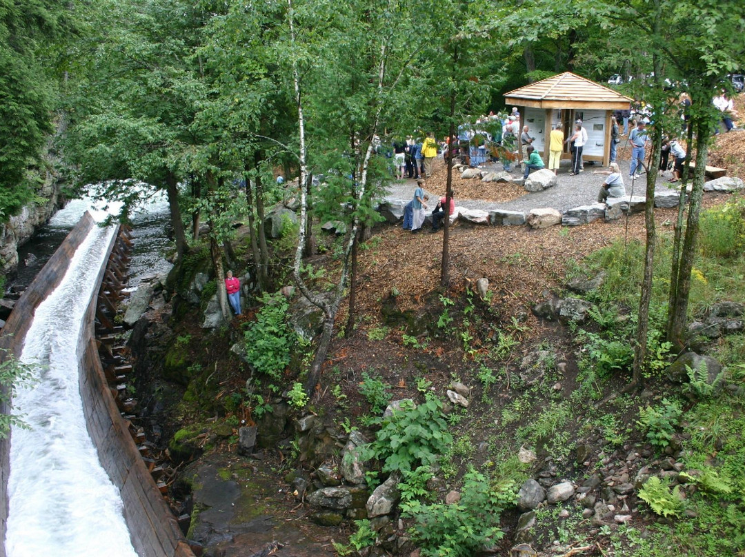 Hawk Lake Log Chute景点图片
