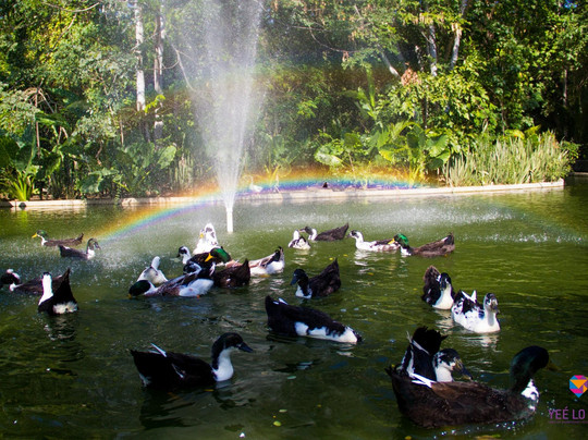 Yee Lo Bee Parque Mariposario-Rio Tangolunda必去景点