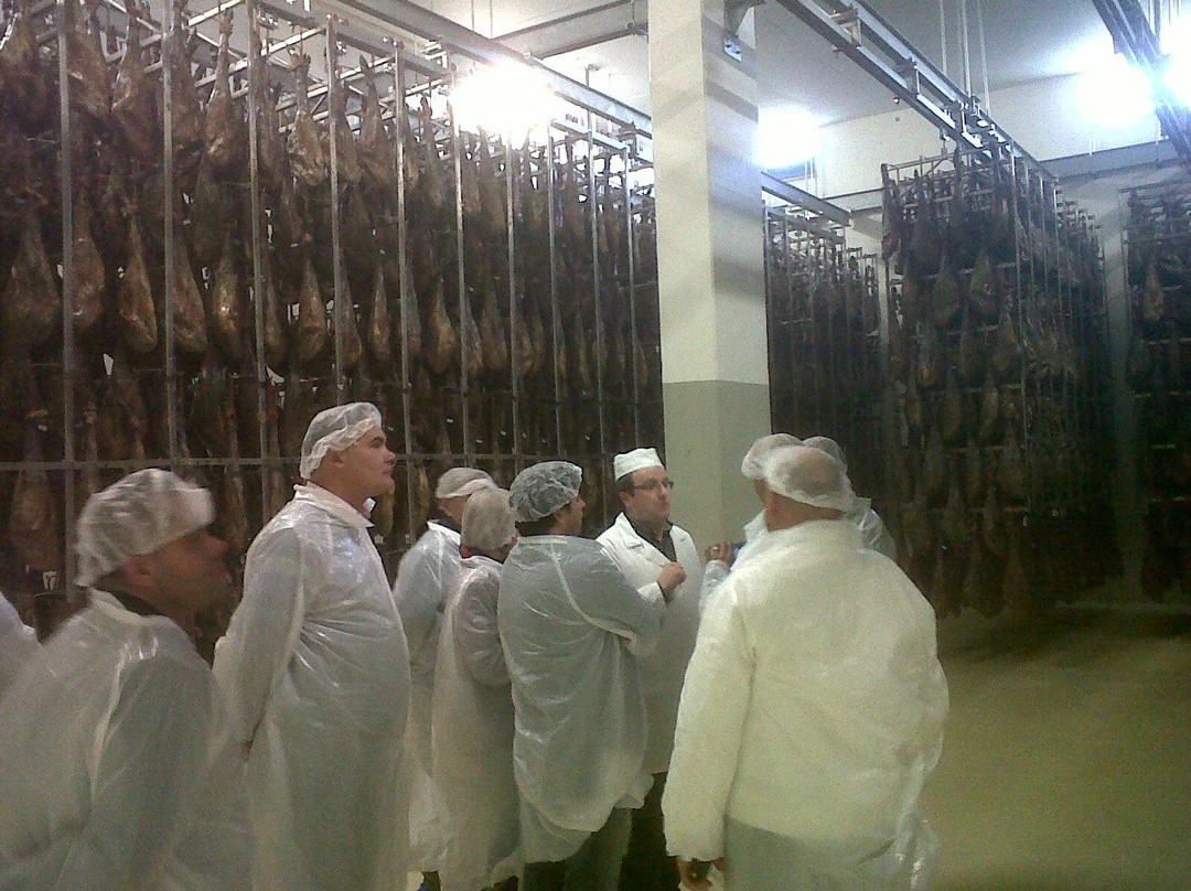 Jamonturismo景点图片