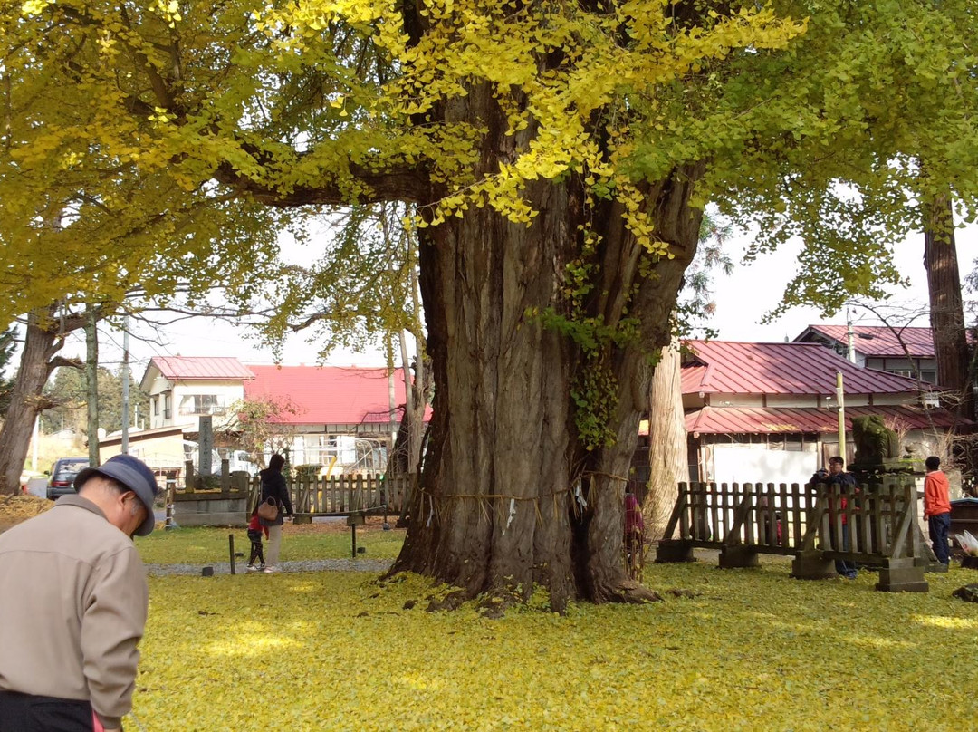 Shingu Kumano Shrine Nagatoko-喜多方市必去景点
