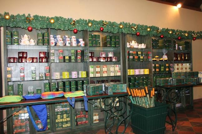 麦克伍兹茶工场-奴娃拉伊利雅必去景点