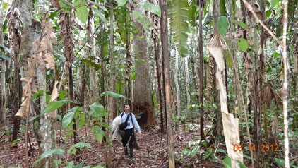 Amazonas Jungle Tours Operator-莱蒂西亚必去景点