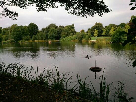 Acton Park景点图片