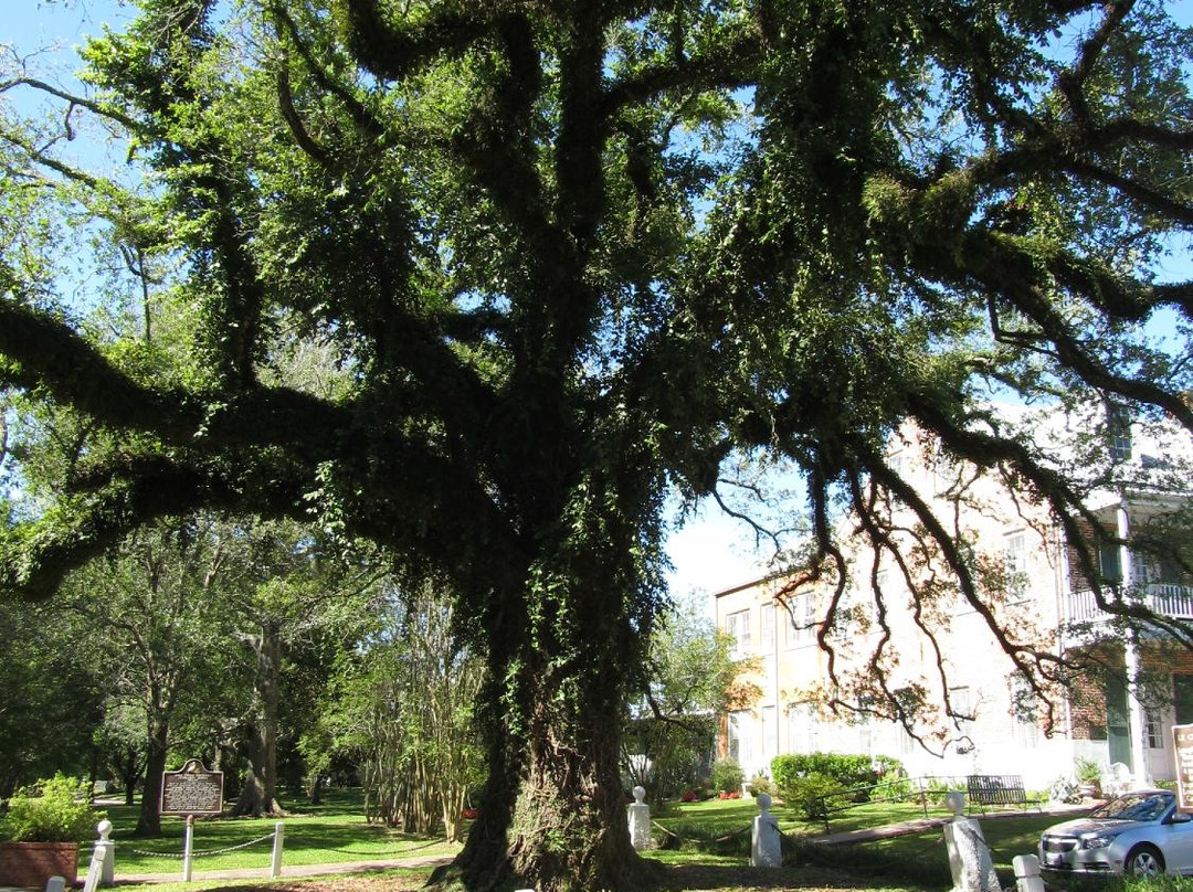 Acadian Memorial-Saint Martinville必去景点