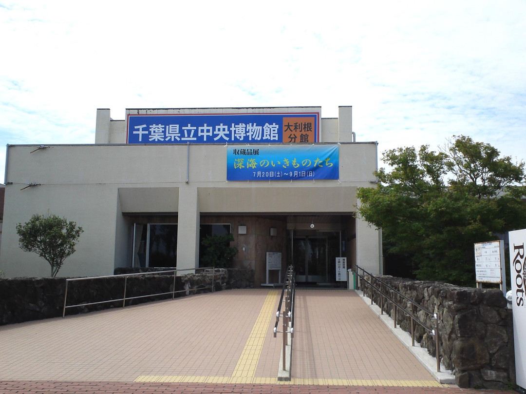 Chiba Prefectural Central Museum Otone景点图片