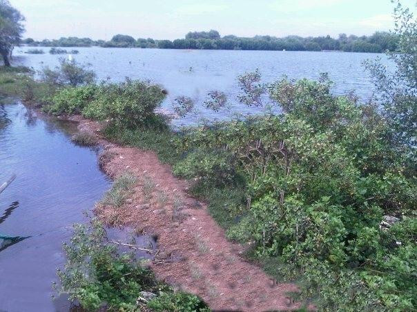 Mangrove Forest-雅加达必去景点