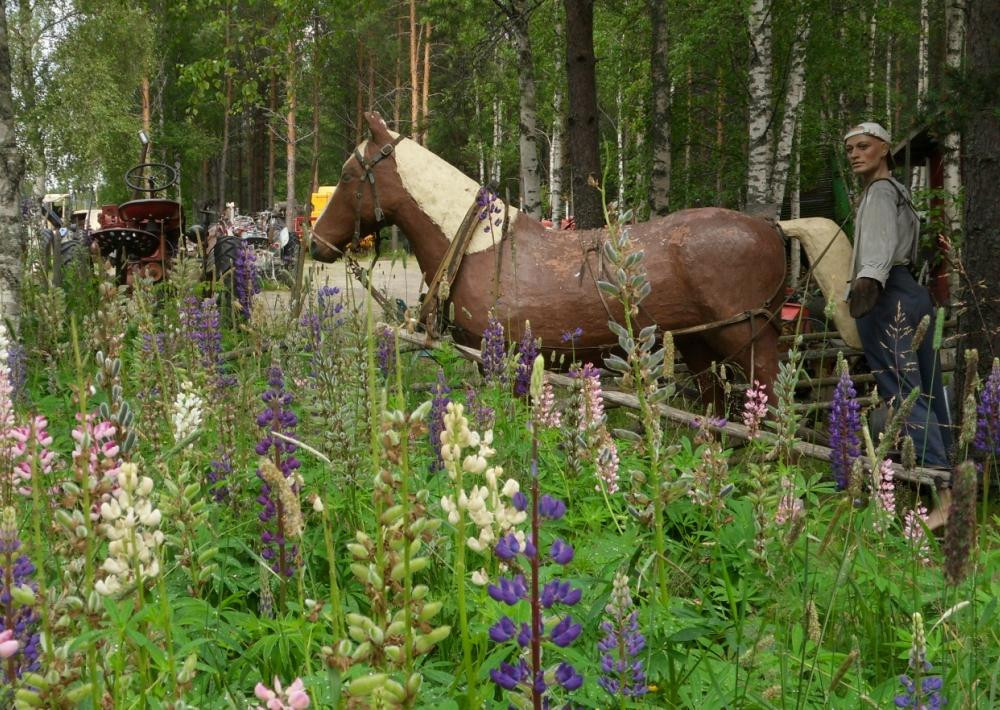 The Toivonen Animal Park and Peasant Museum景点图片