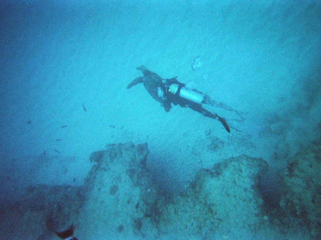 Island WaterSports Hawaii-火奴鲁鲁必去景点