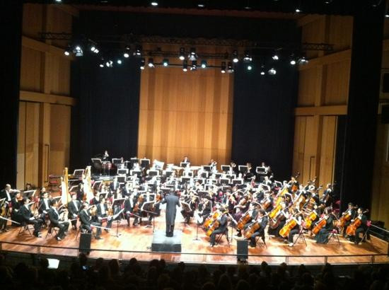 Falicon旅游景点-Conservatoire National à Rayonnement Régional