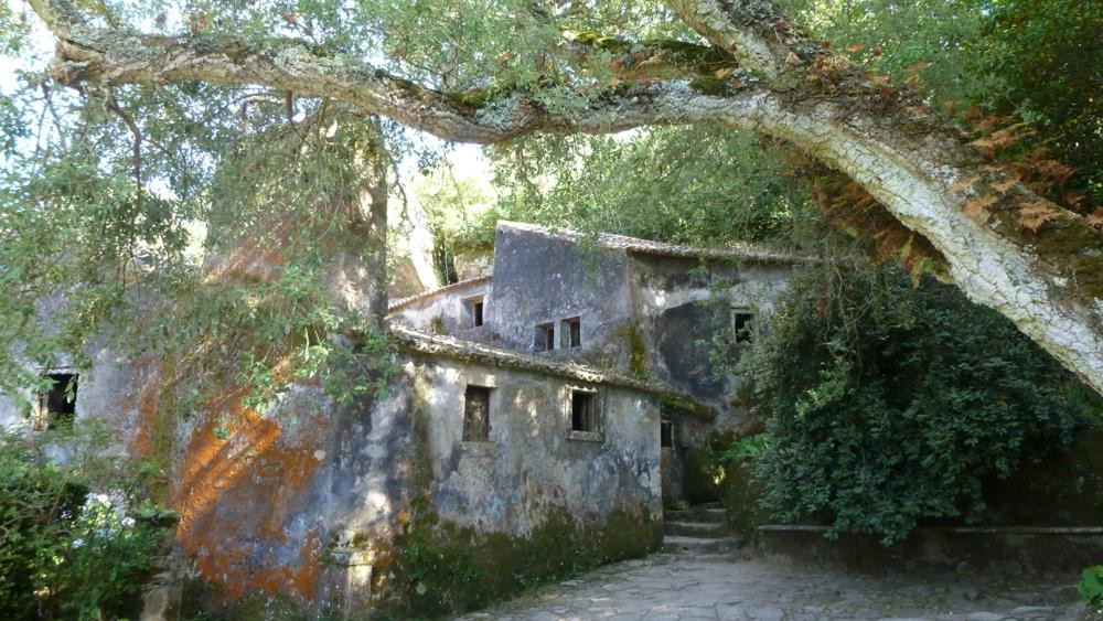 Convento dos Capuchos景点图片