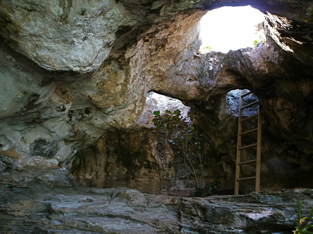 Pirate's Cove-普罗维登西亚莱斯必去景点