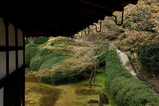 Kōmyō-in Temple-京都市必去景点