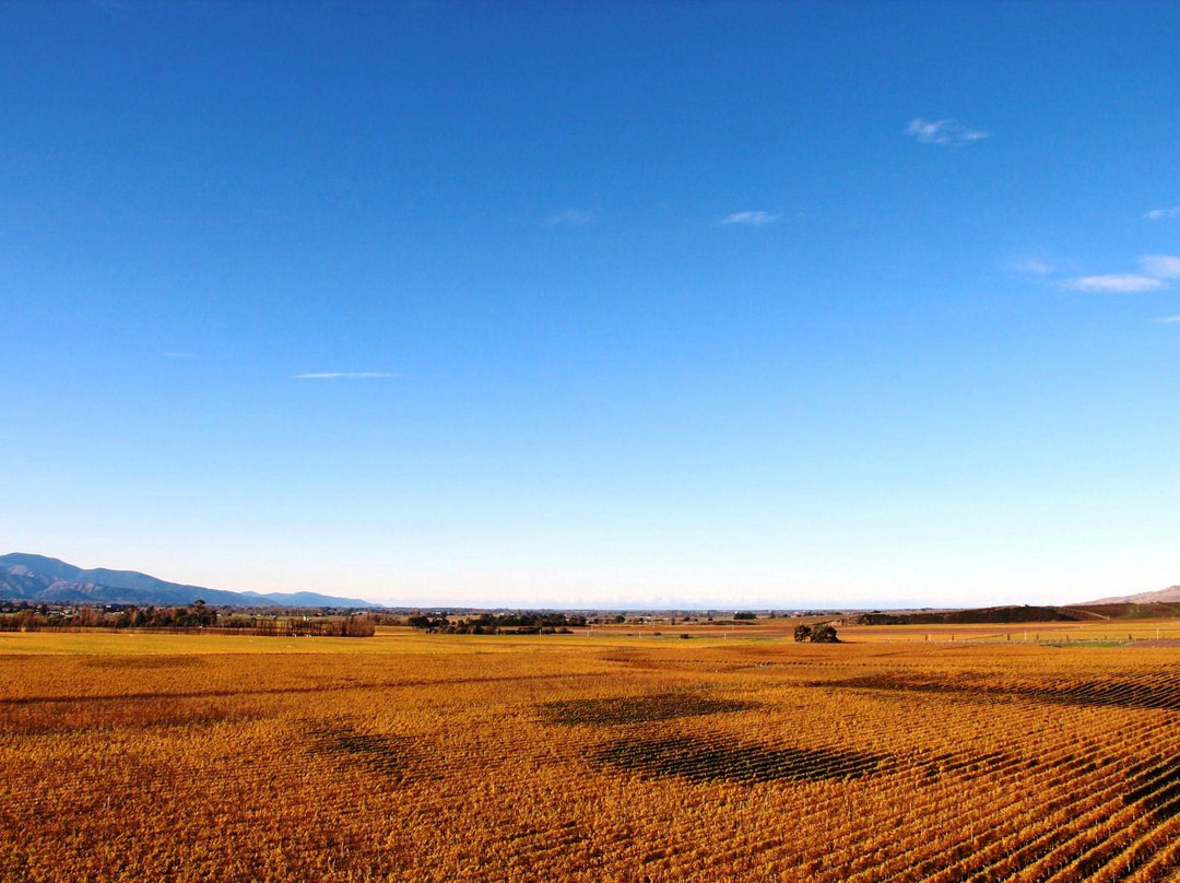 Marlborough Tours景点图片