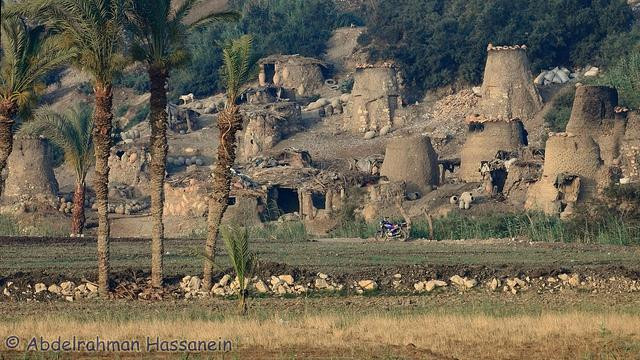 Fayoum Oasis-法尤姆必去景点