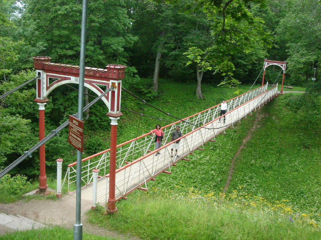 Viljandi Rope Bridge景点图片