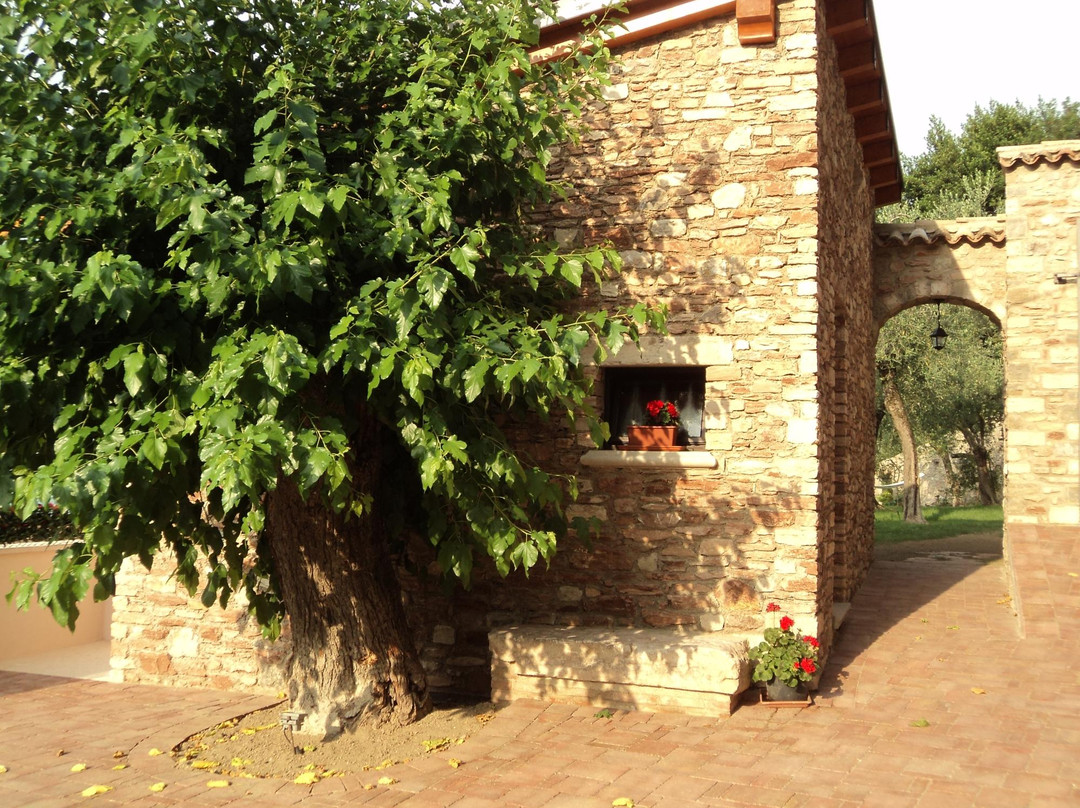 Cecina酒店住宿-B&B Giardini di Corte