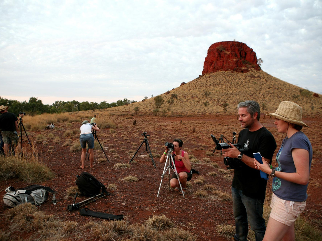 Port Hedland Courthouse Gallery-Port Hedland必去景点
