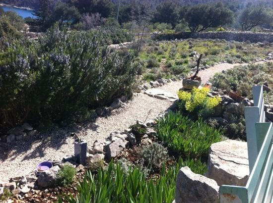 The Lošinj Aromatic Garden景点图片