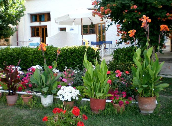 Ismini Apartments主图