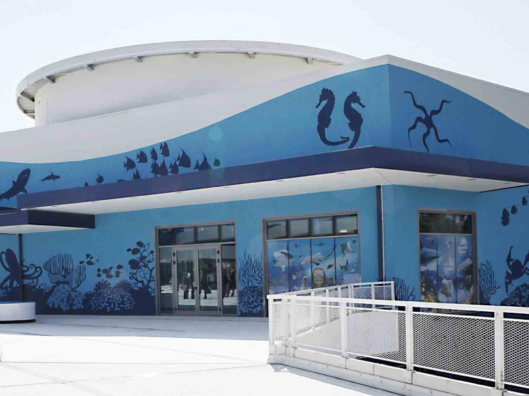 Lido di Jesolo Sea Life Aquarium-耶索洛必去景点