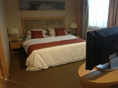 苏州维景国际大酒店主图